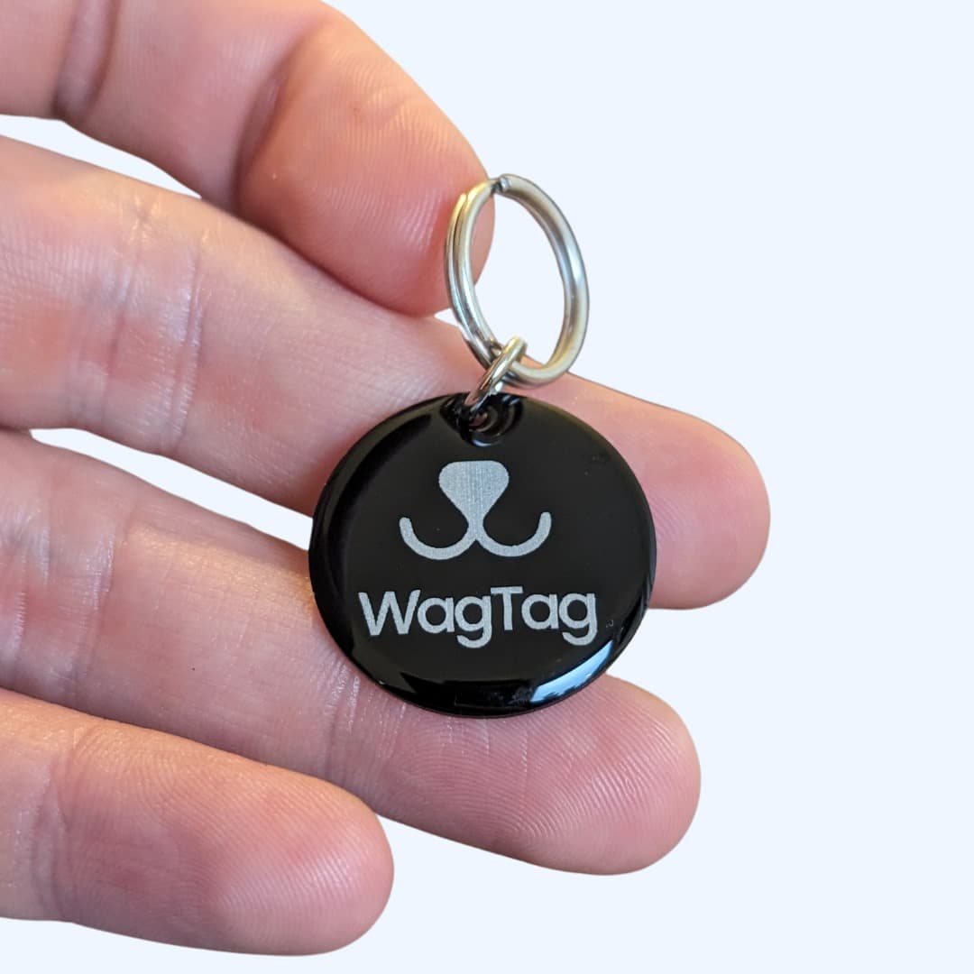 QR Pet Tags - The Simple Guide